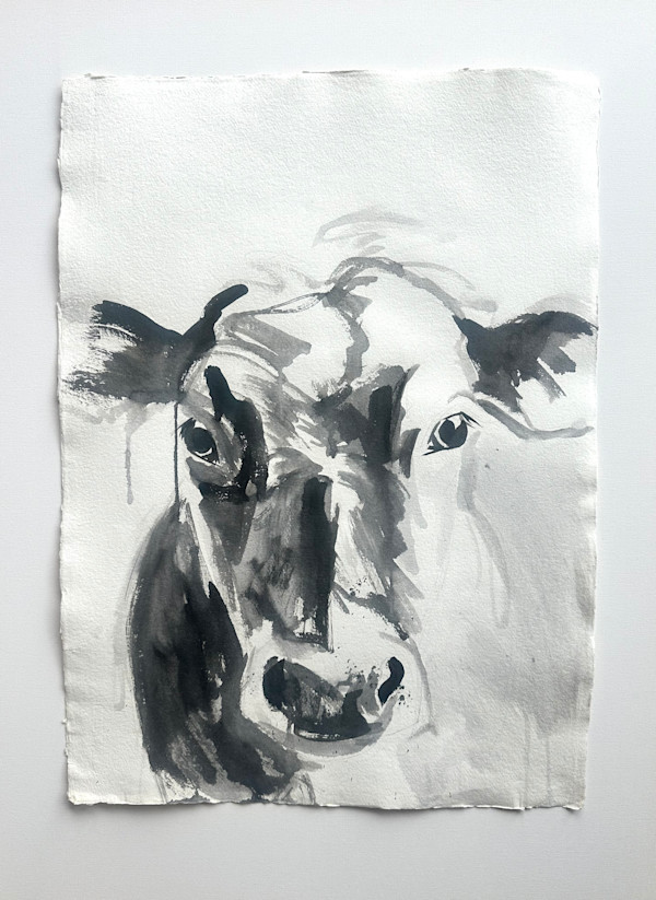 cow portrait in ink by Christen Yates