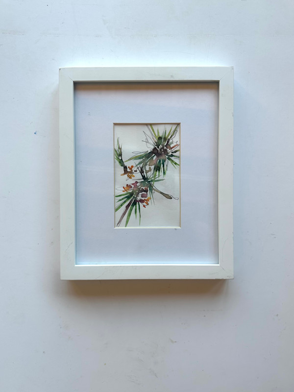 eastern white pine by Christen Yates