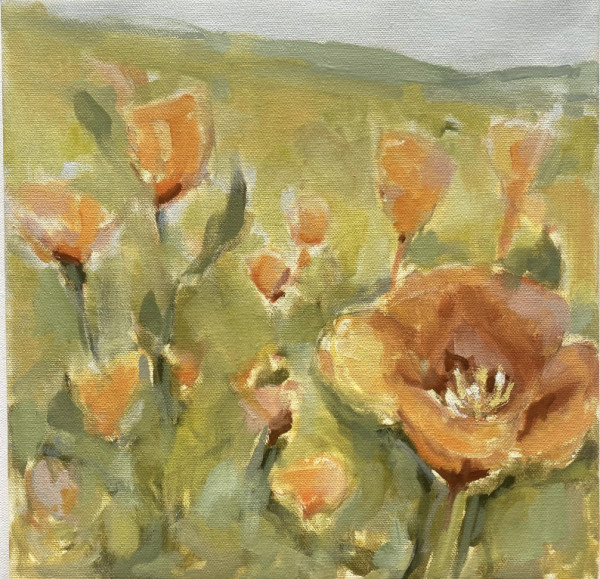 spring poppies