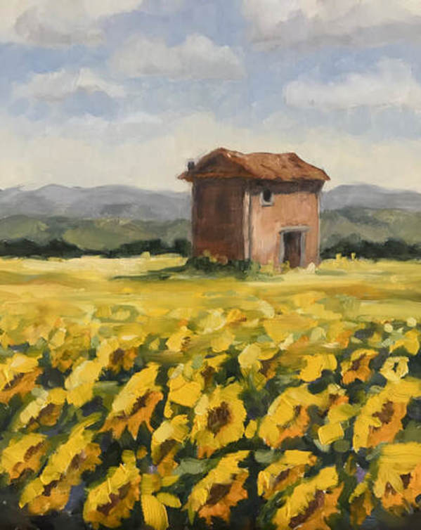 France Sunflower Study by Vanessa Rothe