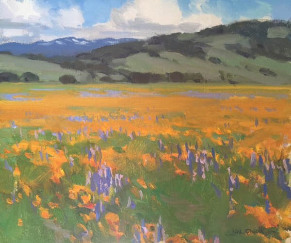 California Poppies Study by Jesse Powell