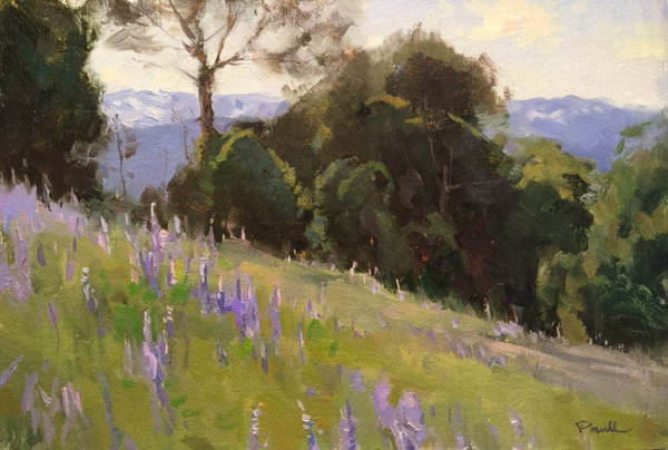 Northern California Lupine by Jesse Powell