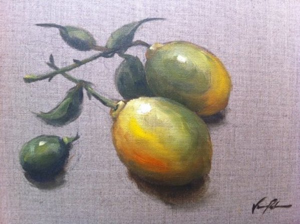Study of Lemons from life by Vanessa Rothe