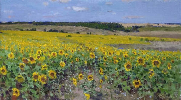 Sunflowers by Andrey Jilov