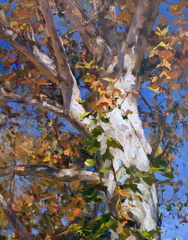 Autumn Leaves by Derek Penix
