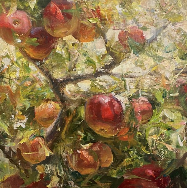 Apples In the Sunlight by Derek Penix