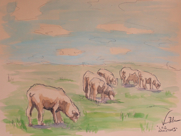 Plein Air Sketch Sheep by Vanessa Rothe