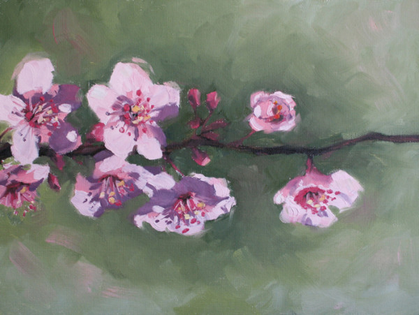 Cherry Blossom Branch by Vanessa Rothe