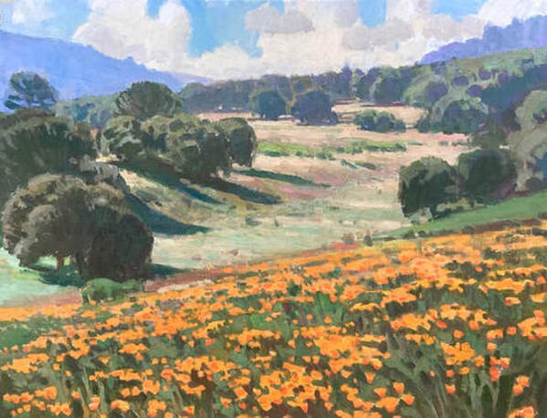 California Poppies by Ray Roberts