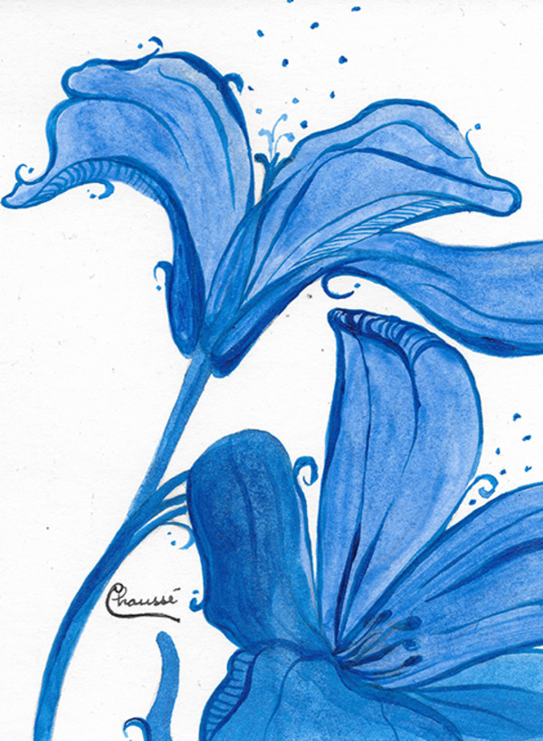 Fleurs Bleues | White & Blue flowers by Geneviève CHAUSSÉ