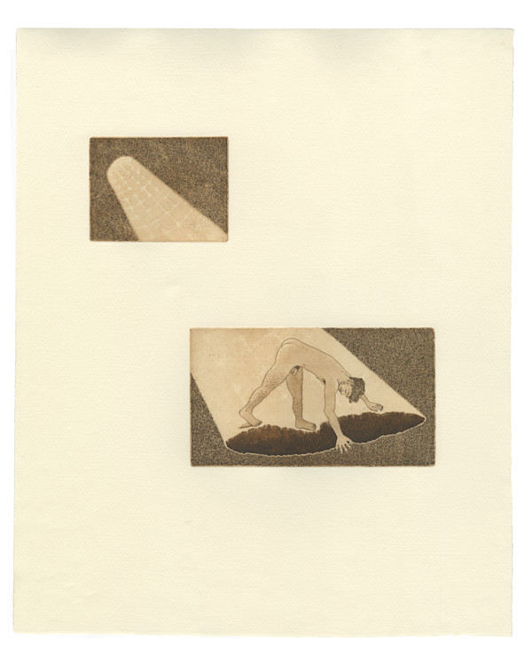 Narcissus Surveilled  (light) #5 by Adam Liam Rose