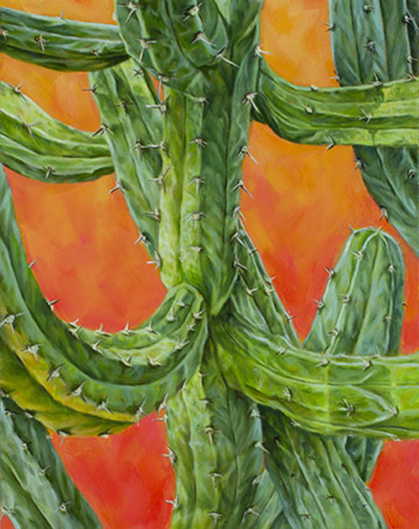 Cactus Study by Emily Baker
