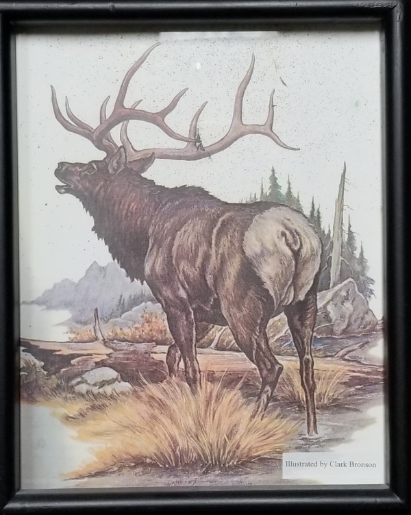 Print (Elk) by Clark Bronson