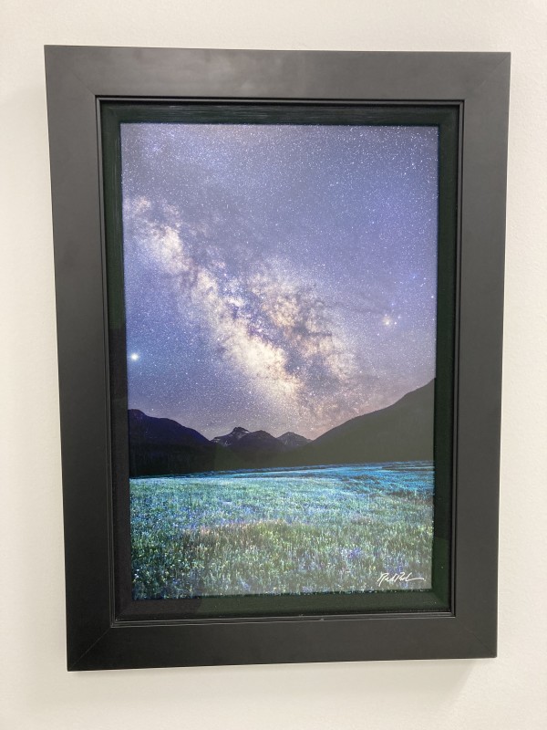 Christmas Meadow by Richard D. Pick
