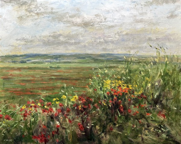 Wild Poppies by Janet Lucas Beck