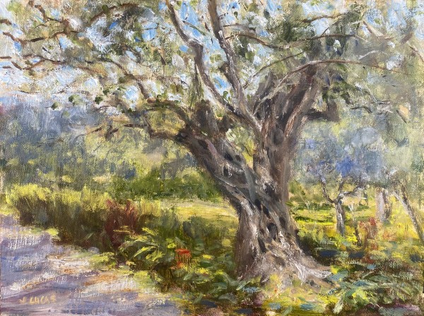 Gethsemane by Janet Lucas Beck