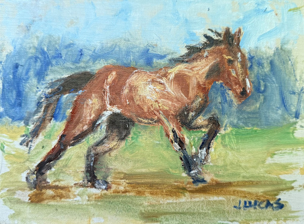 Running with the Wind by Janet Lucas Beck