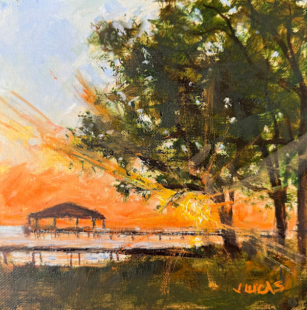 Sunset Through the Branches by Janet Lucas Beck