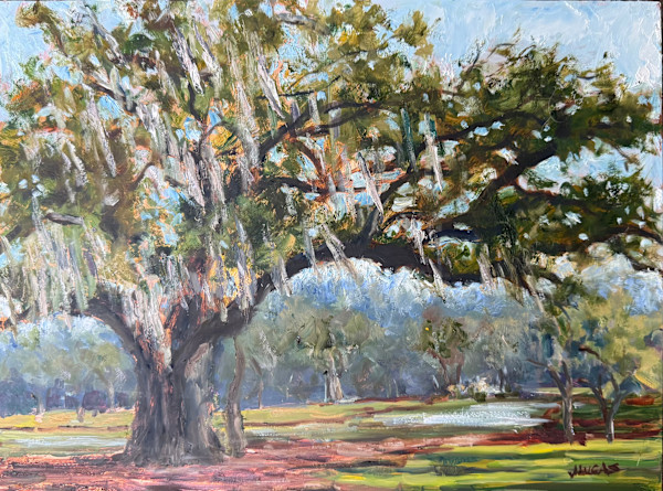 Moss Laden Oak by Janet Lucas Beck, Image 6.
