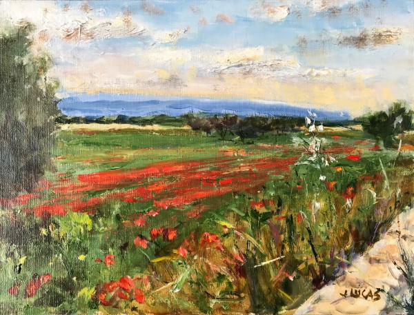 Poppy Fields by Janet Lucas Beck