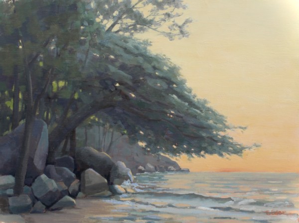 Coastal Sunset by Eileen Eder