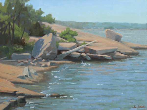 Outer Island Shoreline by Eileen Eder