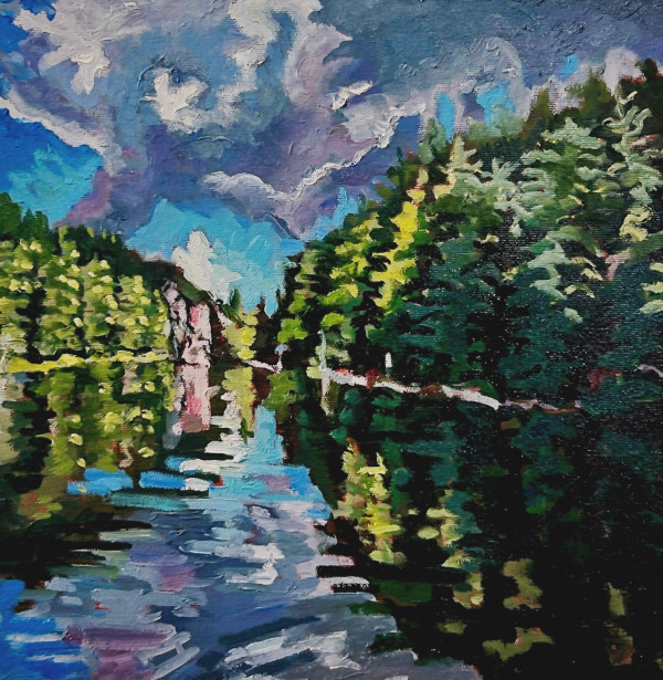 Approaching Storm, Barron Canyon, Algonquin Park by Lynne Ryall