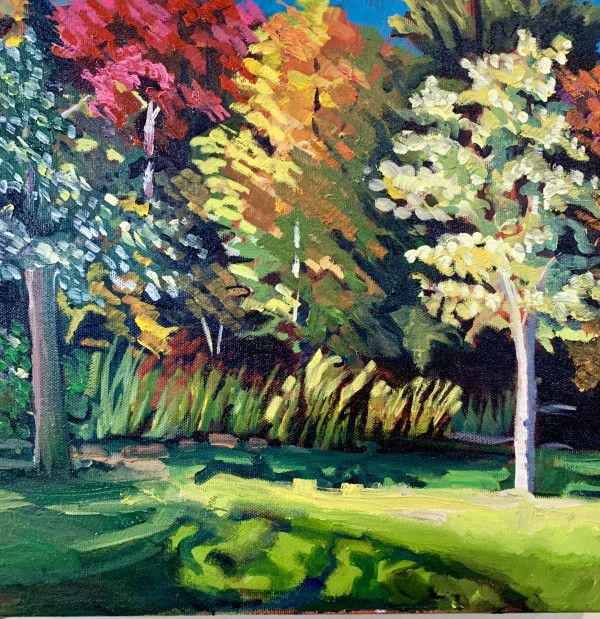 Colour Wheel Trees, Jack Darling Memorial Park by Lynne Ryall