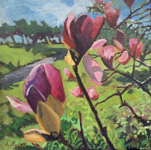 Magnolias on the Verge, Royal Botanical Gardens, Hamilton by Lynne Ryall
