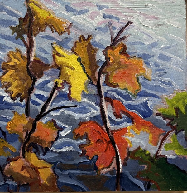 Complementary Colour, Kawartha Lakes, by Lynne Ryall