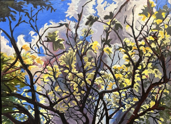 Spring Magnolias bring Hope, Royal Botanical Gardens, Burlington by Lynne Ryall