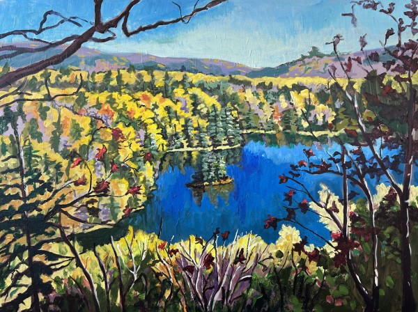 Oasis over the edge, Combermere near Algonquin Highlands. by Lynne Ryall