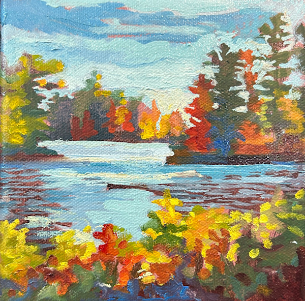 Fall colour looking through the Islands, Lake Kashabog, Kawarthas by Lynne Ryall