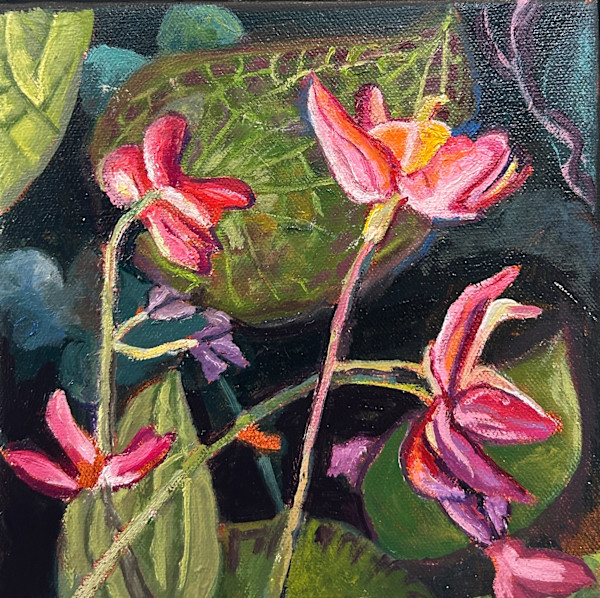 Magnolia Beginnings by Lynne Ryall