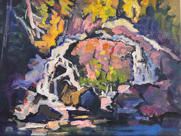 Hidden Falls, Wawa Ontario by Lynne Ryall