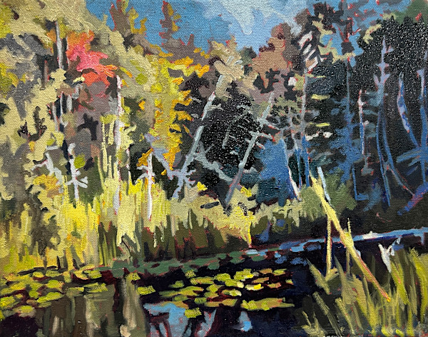 Signs of Fall, the Spruce Bog Trail Algonquin Park by Lynne Ryall