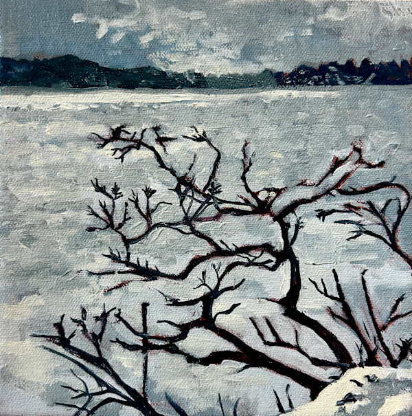 White Black and Grey, Dwight Ontario, Lake of Bays by Lynne Ryall