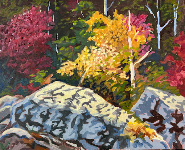 Behind the Rocks, Chutes Provincial Park by Lynne Ryall