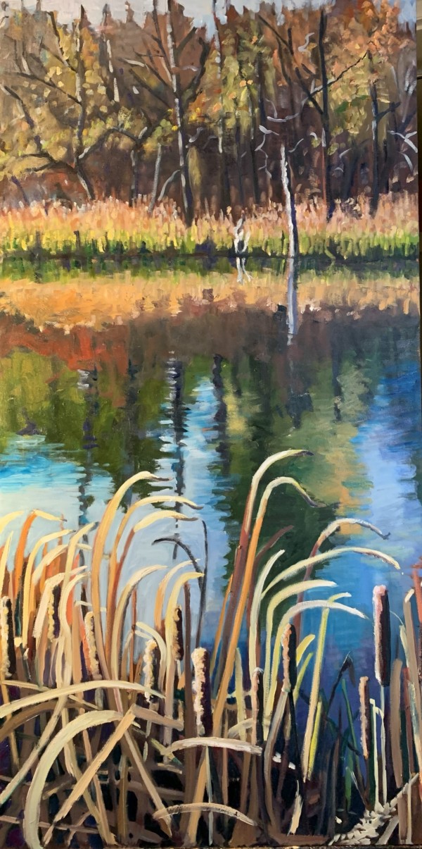 Coloured Pond near Albion Falls, Stoney Creek Ontario by Lynne Ryall