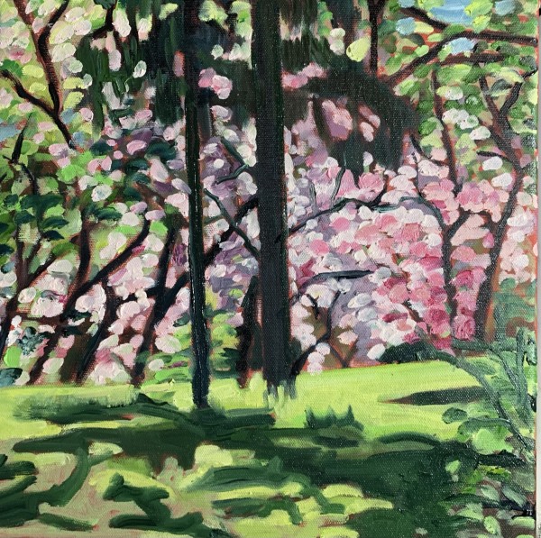 Pine Contrasting Magnolias, Royal Botanical Gardens, Hamilton ON by Lynne Ryall