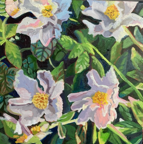 Peonies at Home by Lynne Ryall