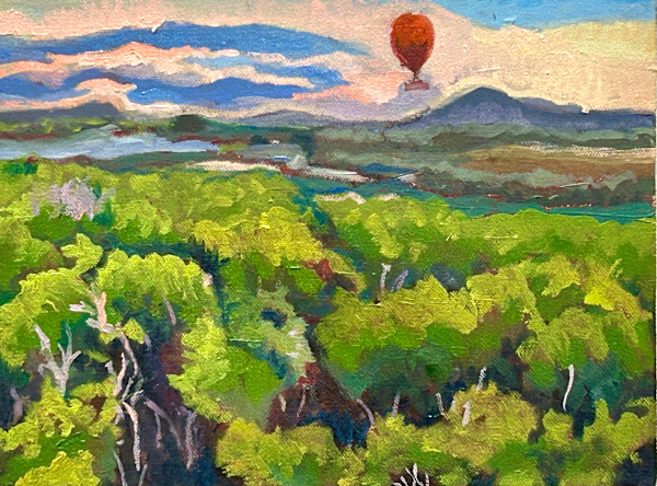 Balloon Ride, Cairns Austraila by Lynne Ryall, Image 1.