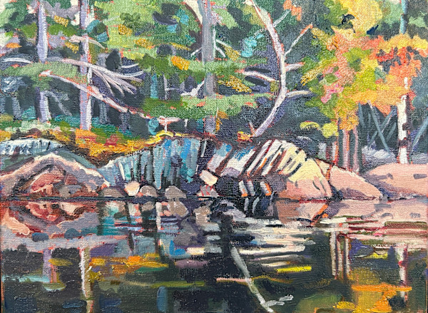Back Bay Paddle View, Go Home Bay by Lynne Ryall, Image 1.