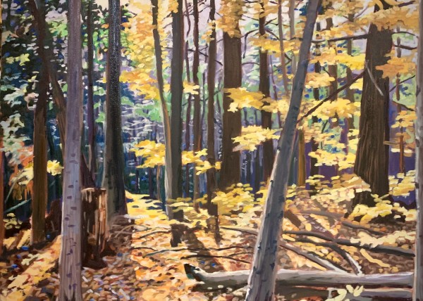 Yellow Fall, Dundas Valley Conservation Area by Lynne Ryall