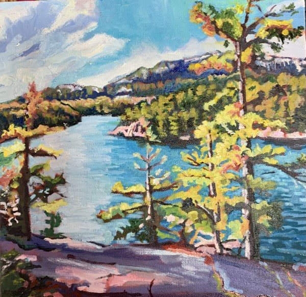 Killarney Lookout, George Lake Campground, Killarney Provincial Park by Lynne Ryall