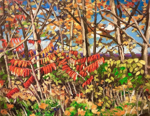 Coloured Sumacs on the Bruce Trail by Lynne Ryall