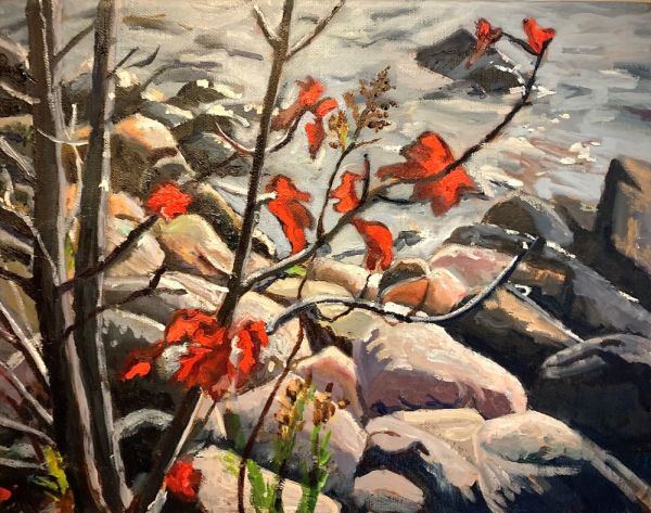 Red Maple, Killarney Beach by Lynne Ryall