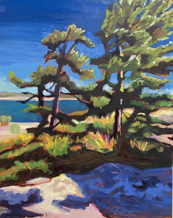 Blue Shadows, Go Home Bay, Georgian Bay by Lynne Ryall