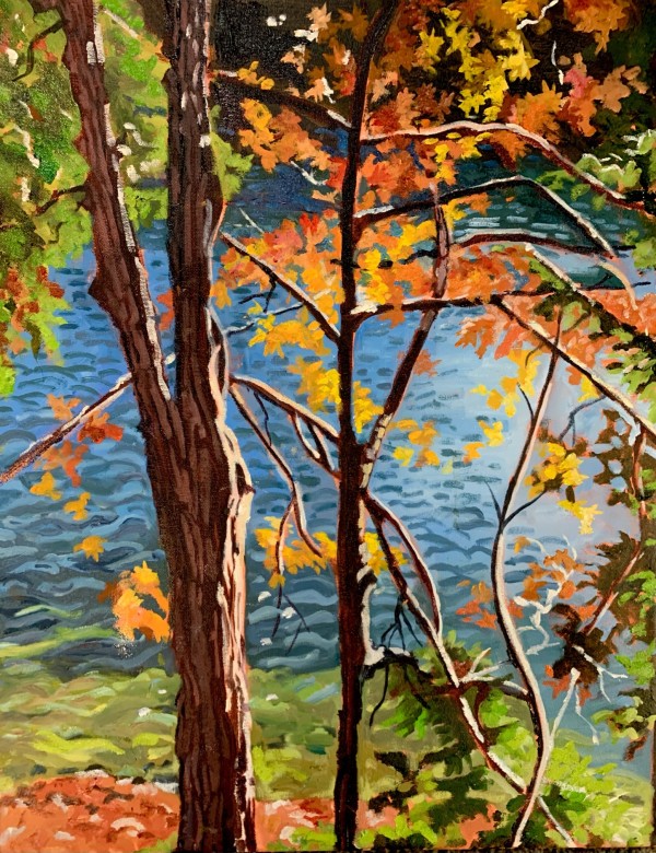 Crawford Lake, Through the Trees