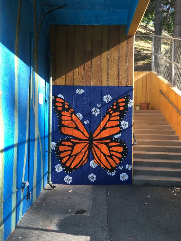 Selfie Mural by cathy weiss